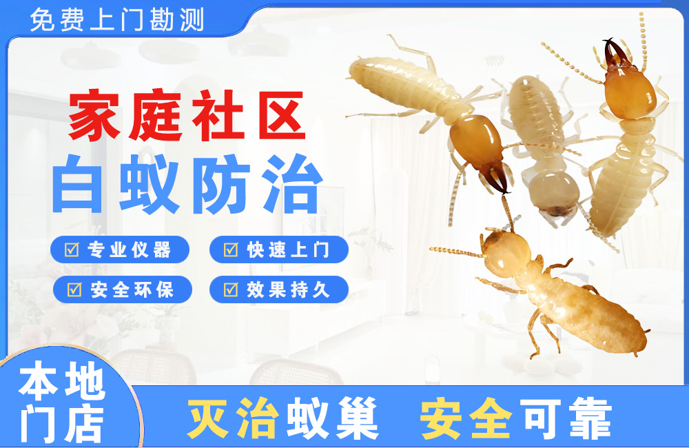 海丰家庭社区白蚁防治