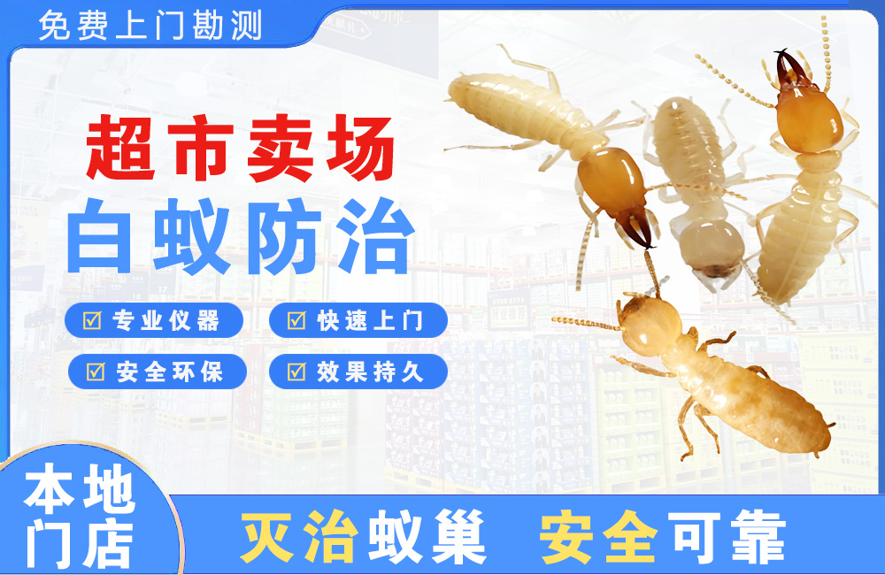 海丰超市卖场白蚁防治