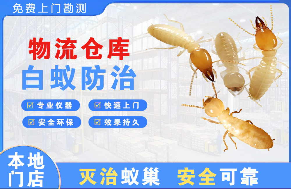 海丰物流仓库白蚁防治