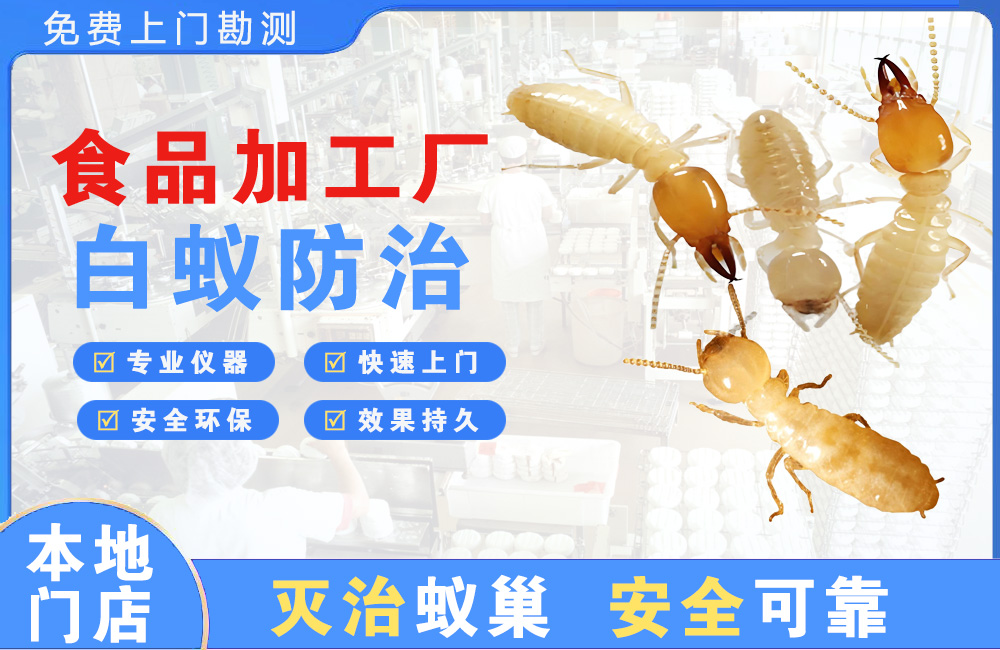 海丰食品加工厂白蚁防治