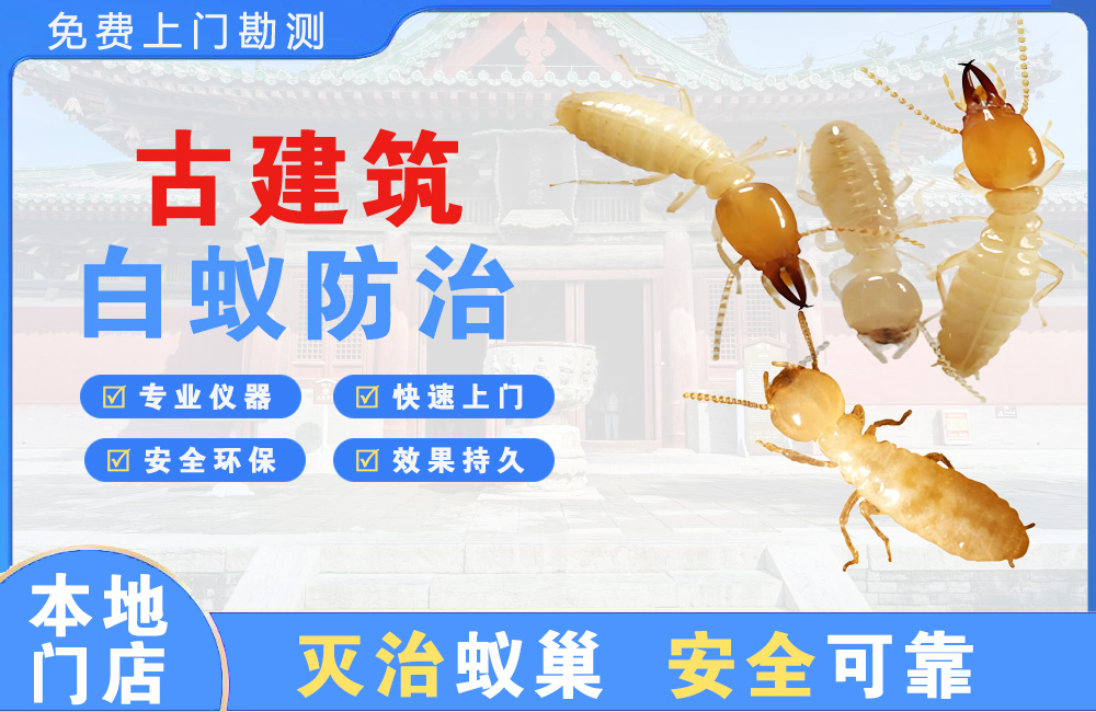 海丰古建筑白蚁防治
