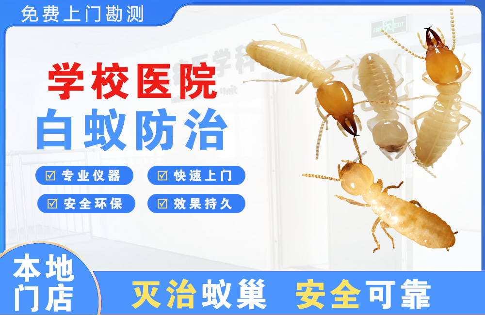 海丰学校医院白蚁防治