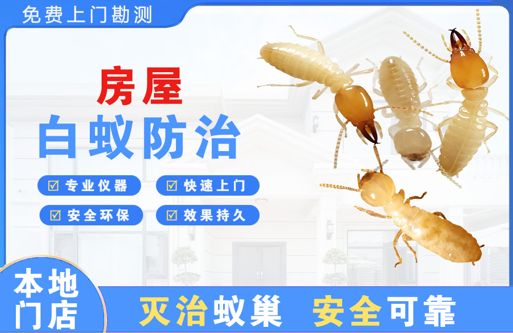海丰房屋白蚁防治