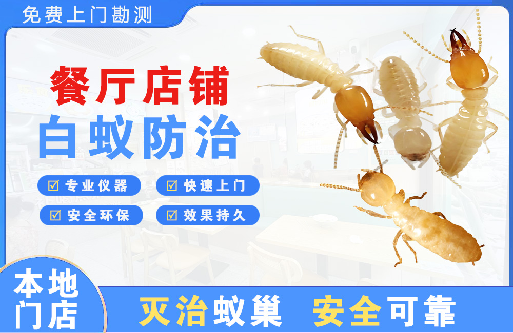 海丰餐厅店铺白蚁防治